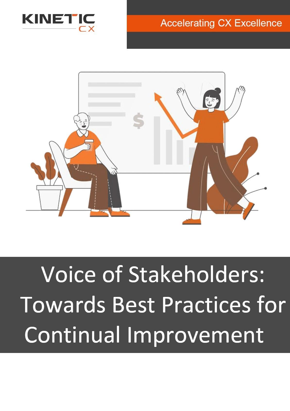 voice of customer